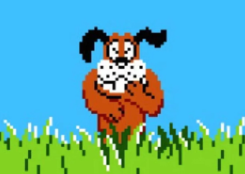 Duck Hunt